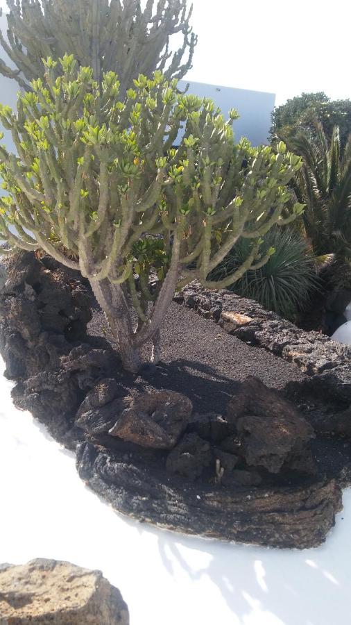 La Casita Ma Petite Folie Tenerife Santa Cruz de Tenerife Kültér fotó
